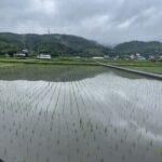 梅雨本番　そよかぜ霊園